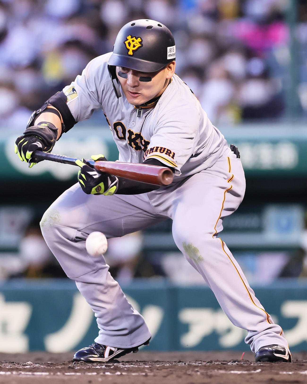 阪神対巨人　8回表巨人無死一塁、セーフティバントを決め内野安打とする丸（撮影・足立雅史）