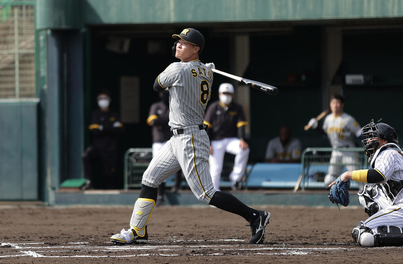 紅白戦　2回裏紅組無死、左越え本塁打を放つ佐藤輝（撮影・前田充）