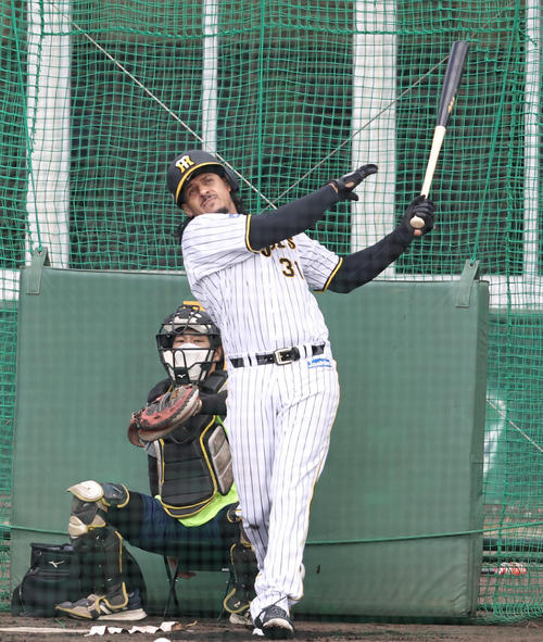 ランチ特打で宜野座1号を放ったマルテ（撮影・加藤哉）