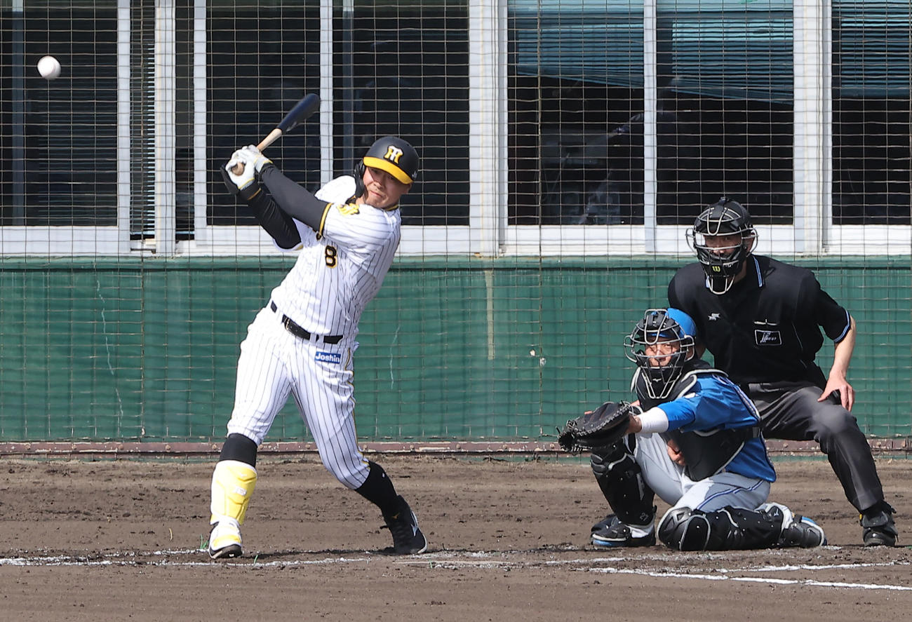 練習試合・阪神対日本ハム　1回裏阪神2死三塁、佐藤輝は左前適時打を放つ（撮影・上山淳一）