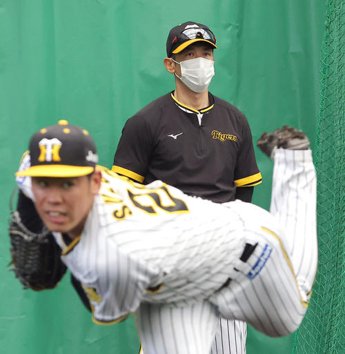 ブルペンで投球する鈴木（手前）を見る矢野監督（撮影・上山淳一）