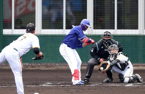 阪神対中日練習試合　3回表中日2死、山下の内角低めを攻める桐敷（撮影・上田博志）