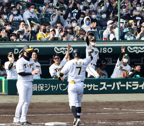 阪神対中日　5回裏阪神2死二、三塁、代打糸井の2点適時打に盛り上がるベンチのナインたち（撮影・加藤哉）