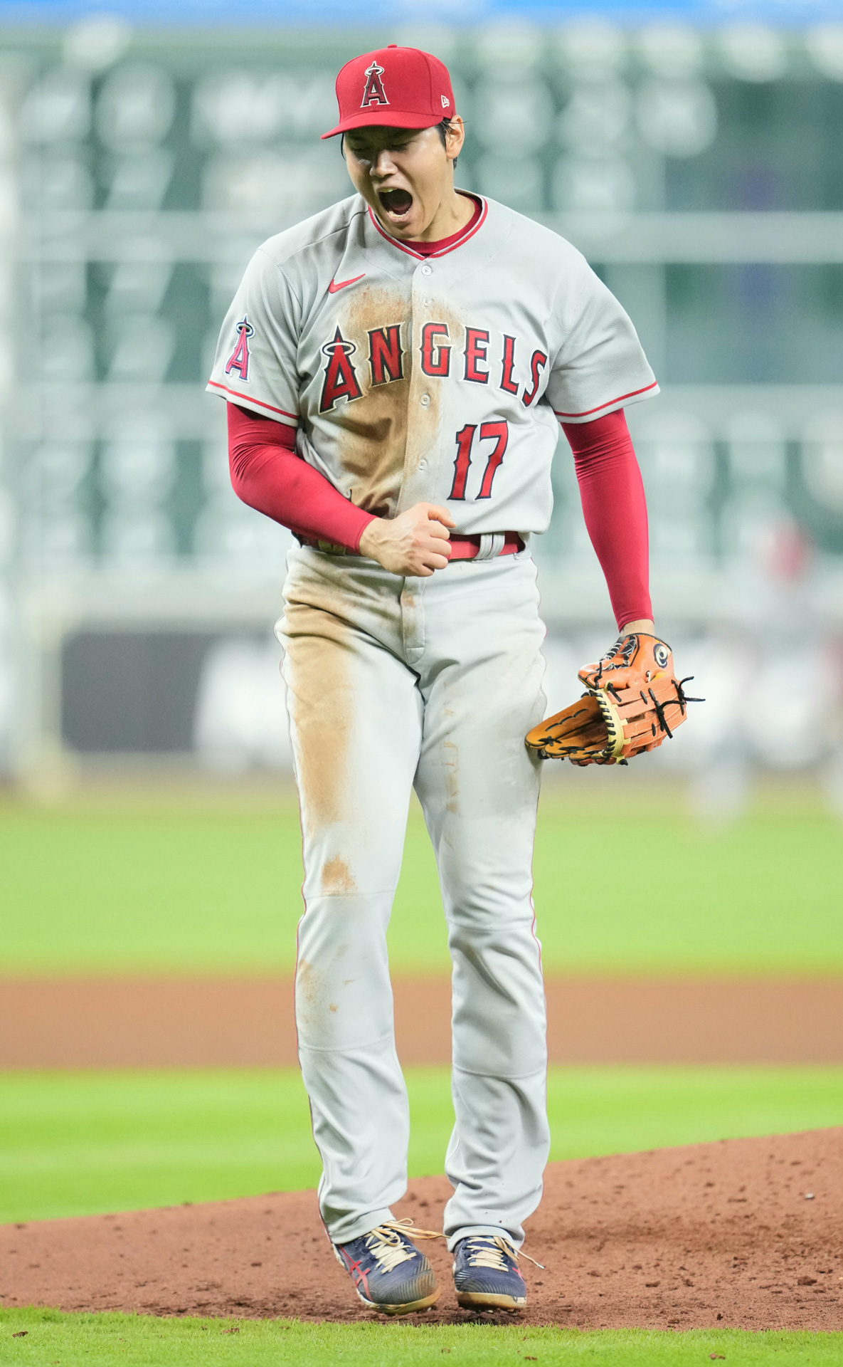 ４回裏アストロズ２死、ブレグマンを空振り三振にしとめ雄たけびをあげる大谷翔平（撮影・鈴木みどり）