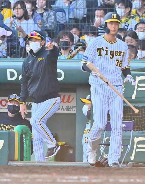 阪神対ヤクルト　8回裏、西勇に代打小幡を送る矢野監督（撮影・和賀正仁）