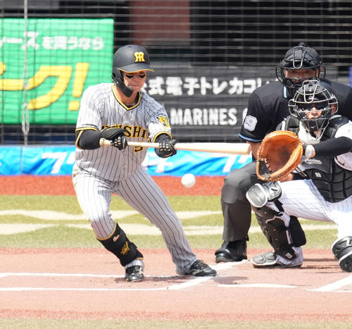 ロッテ対阪神　1回表阪神無死一塁、一塁へセーフティーバントを決める中野（撮影・菅敏）