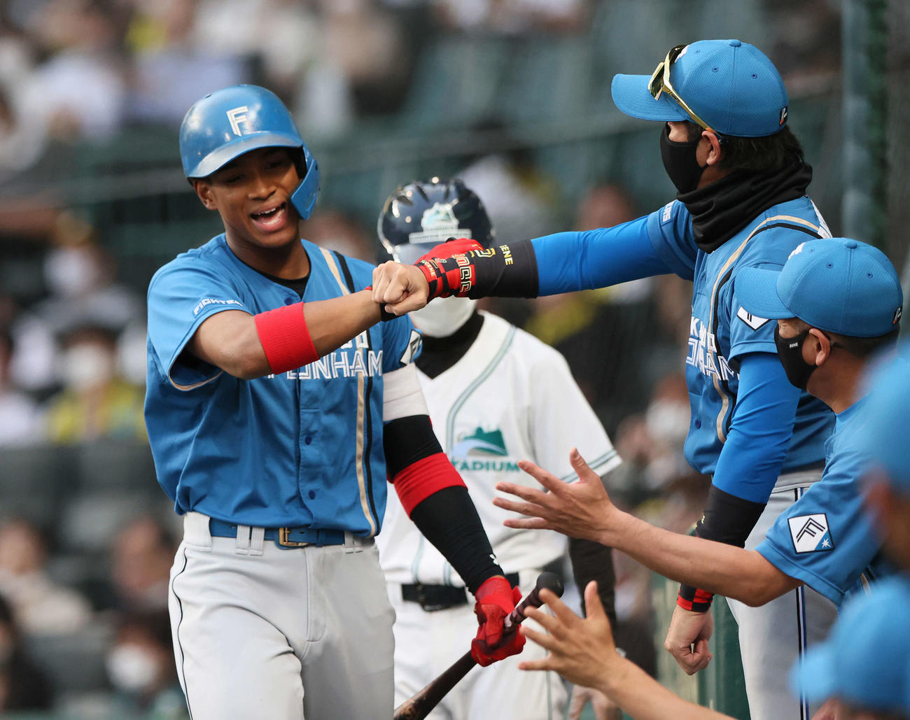 阪神対日本ハム　3回表日本ハム無死、万波（左）は左越えソロ本塁打を放ち新庄監督とタッチを交わす（撮影・上山淳一）