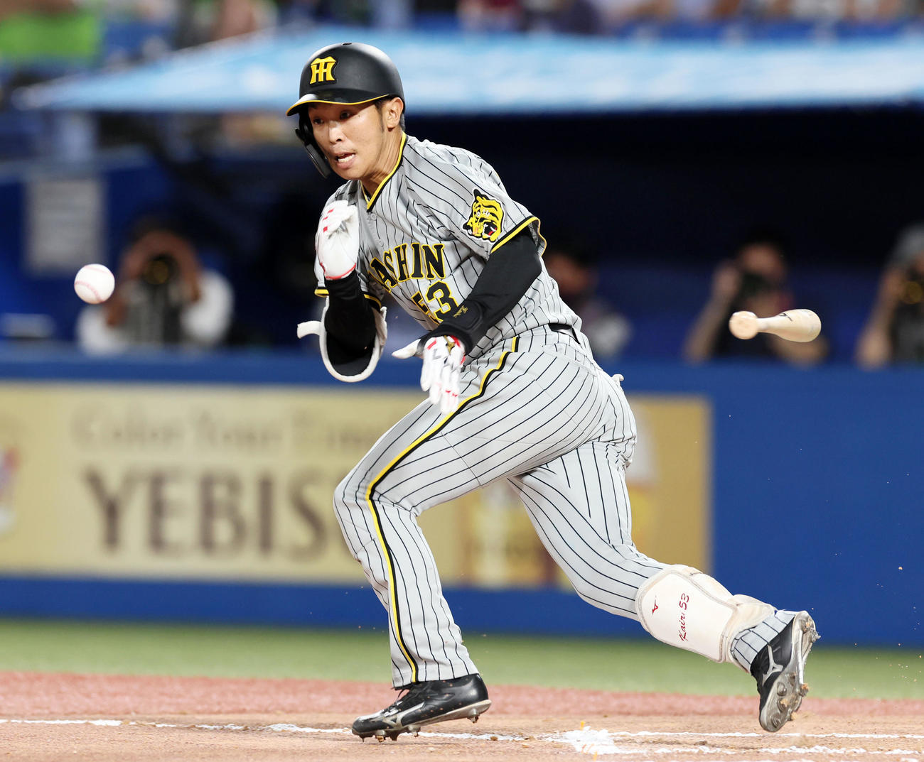 ヤクルト対阪神　6回表阪神1死、島田は三塁線にセーフティーバントを決める（撮影・加藤哉）