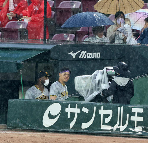 広島対阪神　雨天中止で引き揚げる佐藤輝ら阪神ナイン（撮影・加藤哉）