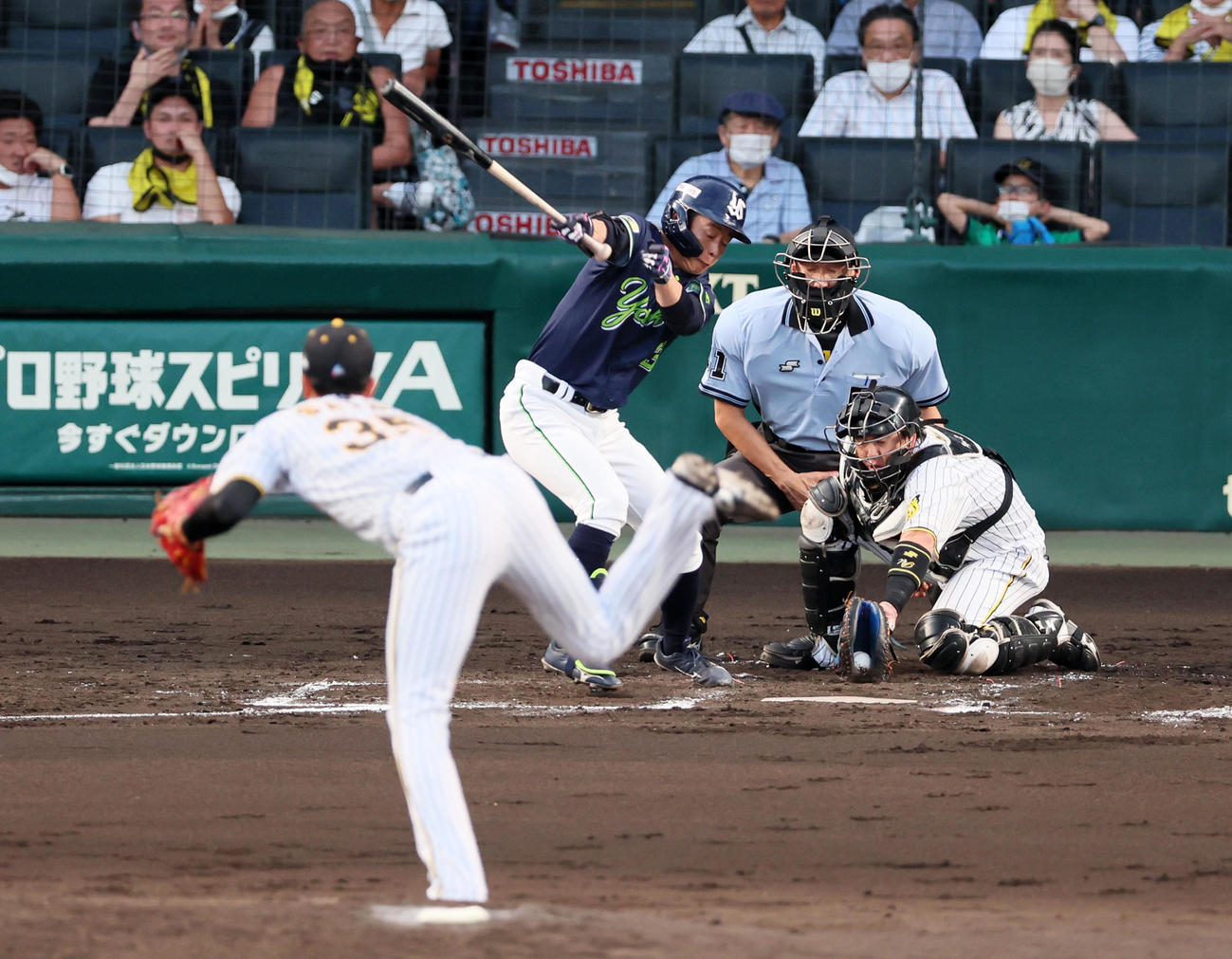 阪神対ヤクルト　3回表ヤクルト2死二、三塁、才木は山崎を三振に仕留める（撮影・加藤哉）