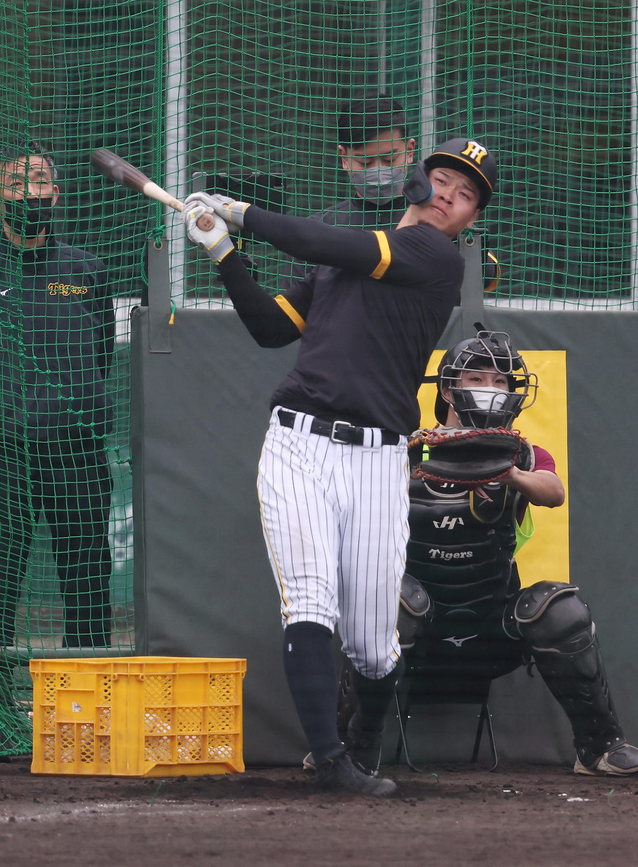 個別練習で打ち込む阪神佐藤輝明（撮影・前田充）