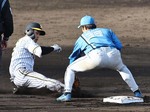 阪神対日本ハム　9回裏阪神無死、小幡は左前打を放つ（撮影・上田博志）