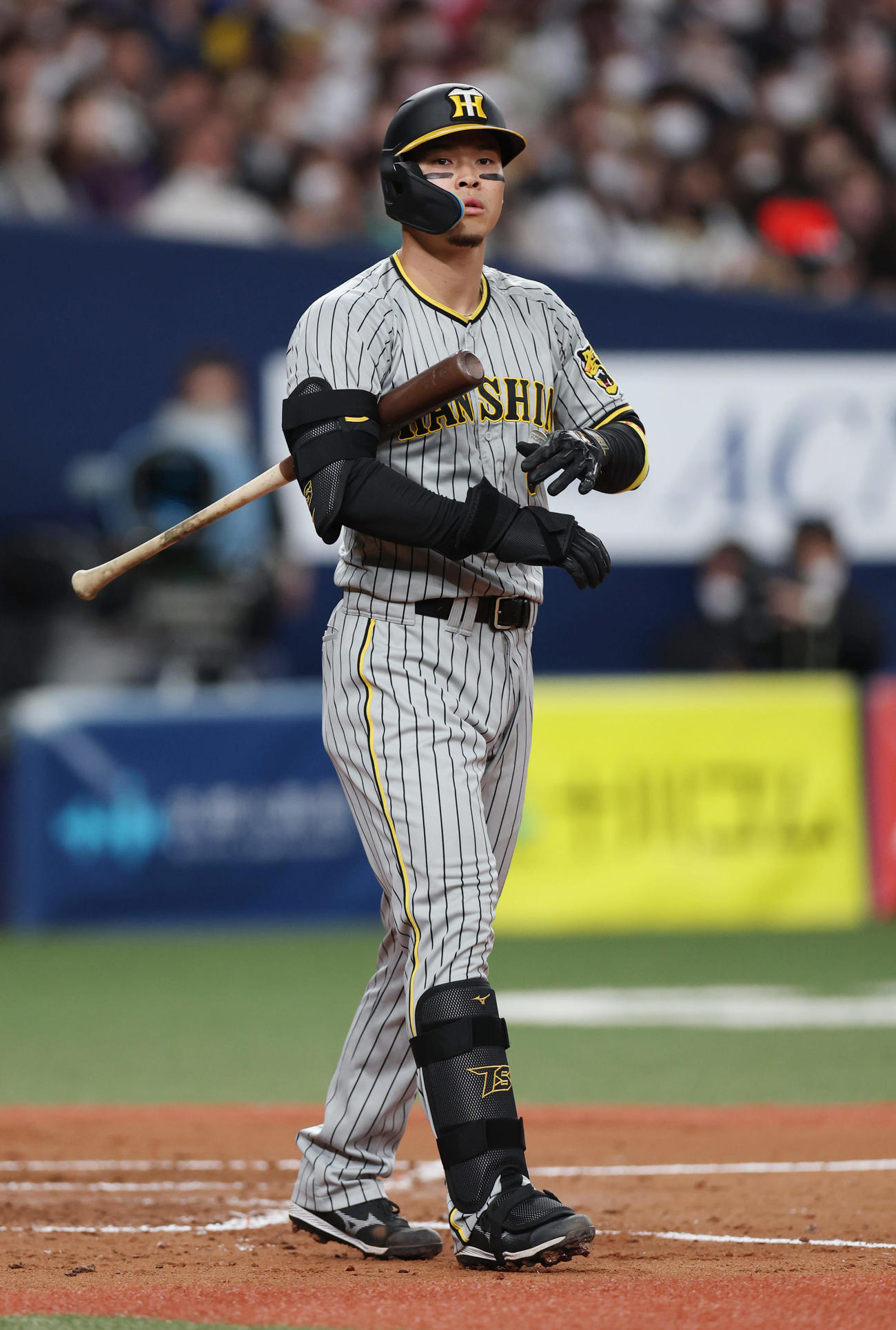 オリックス対阪神　4回表阪神1死二、三塁、四球を選ぶ佐藤輝（撮影・前田充）