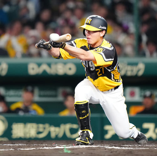 阪神対巨人　7回裏阪神1死一塁、送りバントを決める伊藤将（撮影・江口和貴）