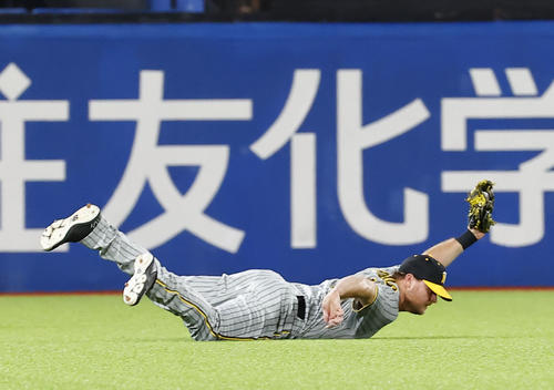 8回裏ヤクルト無死、並木の飛球に飛び込み好捕する阪神左翼手ノイジー（撮影・藤尾明華）