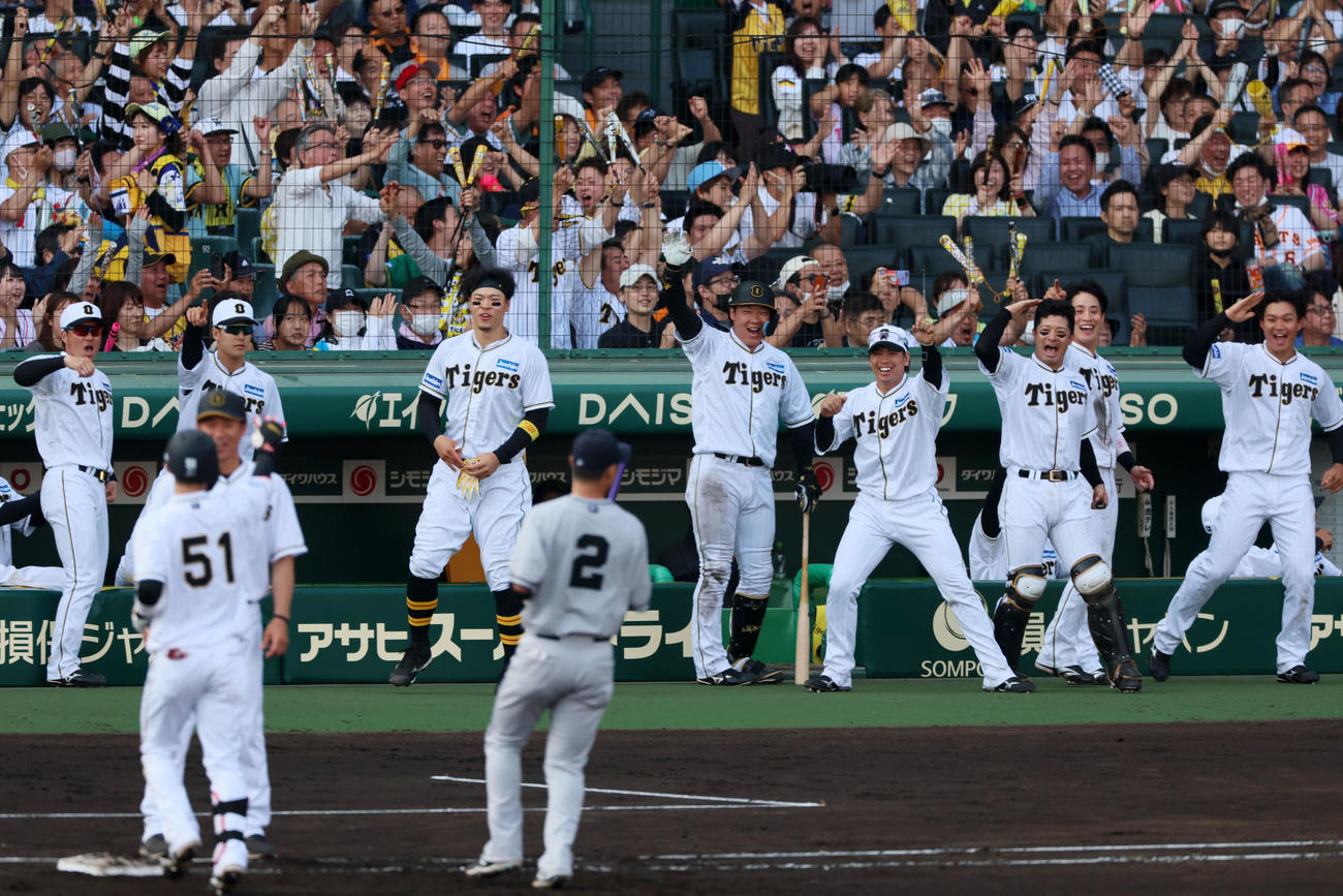 阪神対巨人　7回裏阪神2死二、三塁、ベンチ前に総出で、2点適時打を放った中野をたたえる阪神ナイン（撮影・加藤哉）