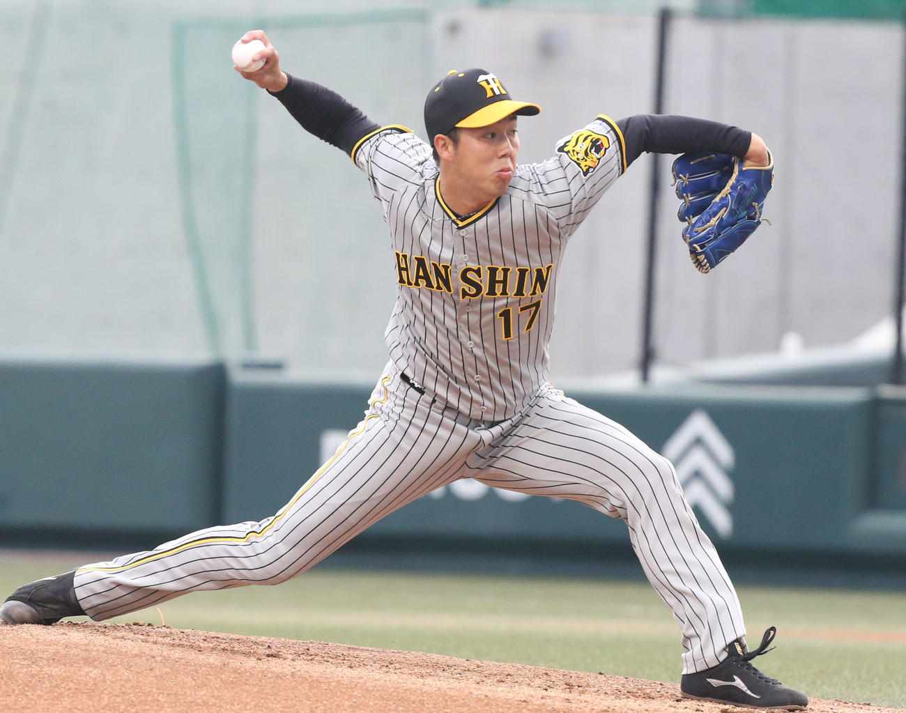 阪神青柳晃洋（2023年6月14日撮影）