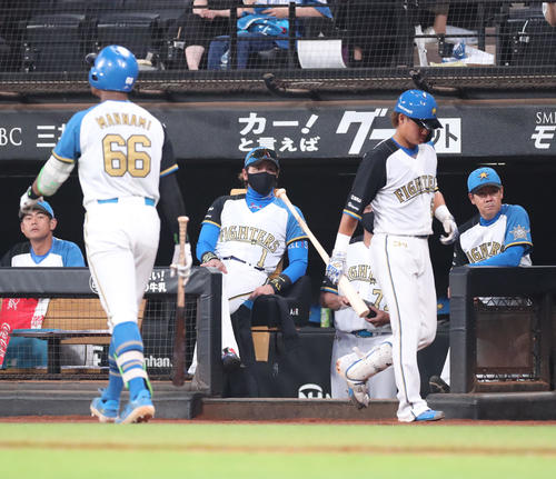日本ハム対オリックス　ベンチからグラウンドを見つめる日本ハム新庄監督（中央）（撮影・佐藤翔太）