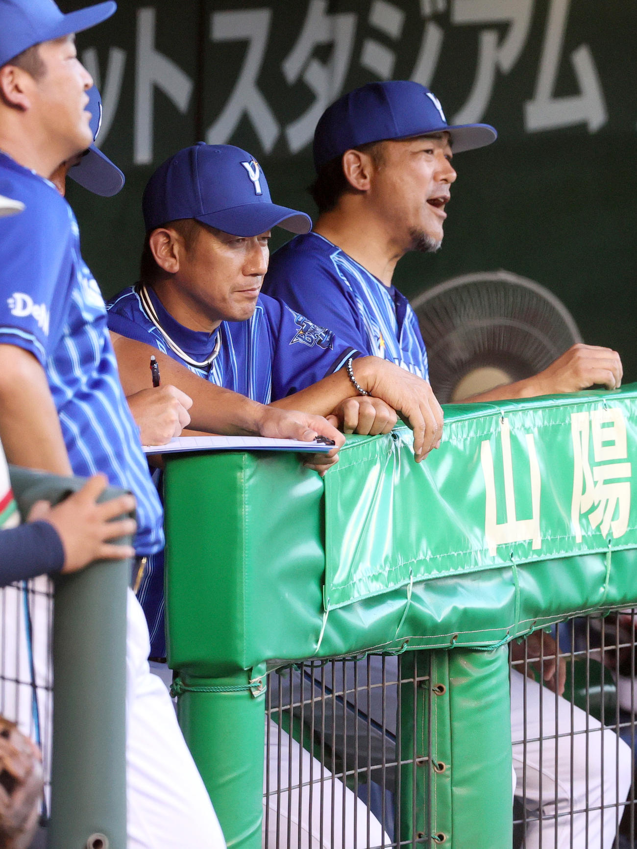 阪神対DeNA　戦況を見るDeNA三浦監督（中央）（撮影・上山淳一）