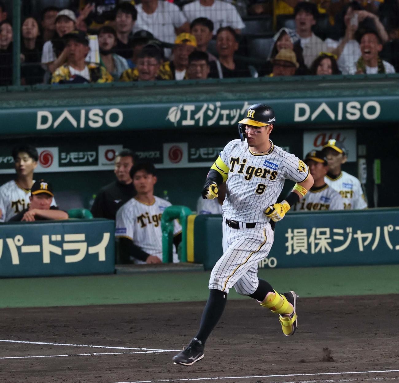 阪神対DeNA 9回裏阪神2死、佐藤輝は右飛に倒れる（撮影・上田博志）