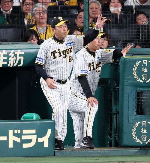 阪神対広島　5回裏、大竹の打順で代打を告げる岡田監督（撮影・加藤哉）