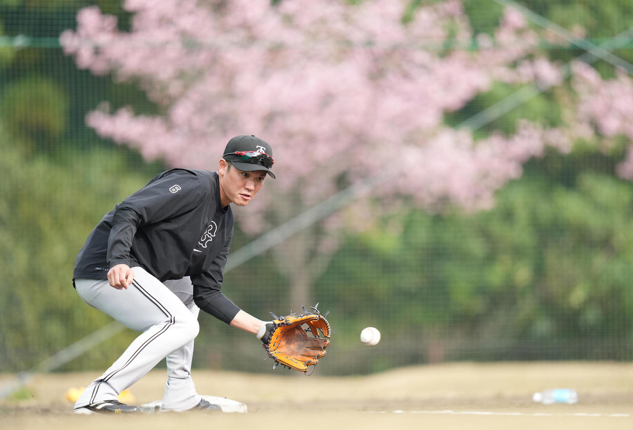 居残り特守を受ける巨人坂本（撮影・鈴木みどり）