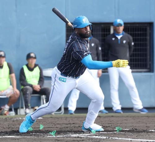 日本ハム紅白戦　1回表紅組無死満塁、右前適時打を放つレイエス（撮影・黒川智章）