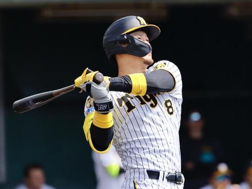 阪神春季キャンプ紅白戦　1回裏白組無死、佐藤輝明は右越えに本塁打を放つ（撮影・藤尾明華）