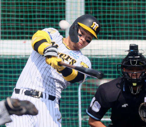 紅白戦　1回裏白組無死、佐藤輝は右越えソロ本塁打を放つ（撮影・加藤哉）