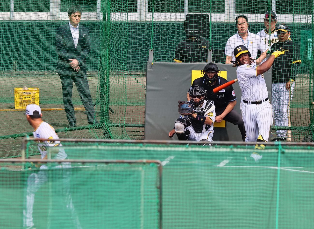 BPを務めたゲラのボールを空振りするミエセス。右は岡田監督（撮影・上田博志）