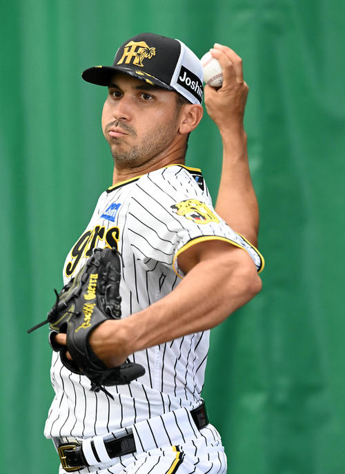 ブルペンで投球練習を行う阪神ゲラ（撮影・前岡正明）