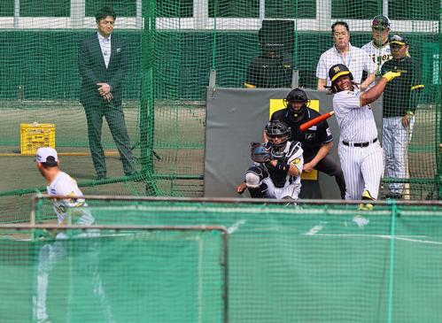 BPを務めたゲラのボールを空振りするミエセス。右は岡田監督（撮影・上田博志）