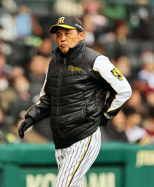 阪神対楽天オープン戦　選手交代を告げる阪神岡田監督（撮影・上田博志）