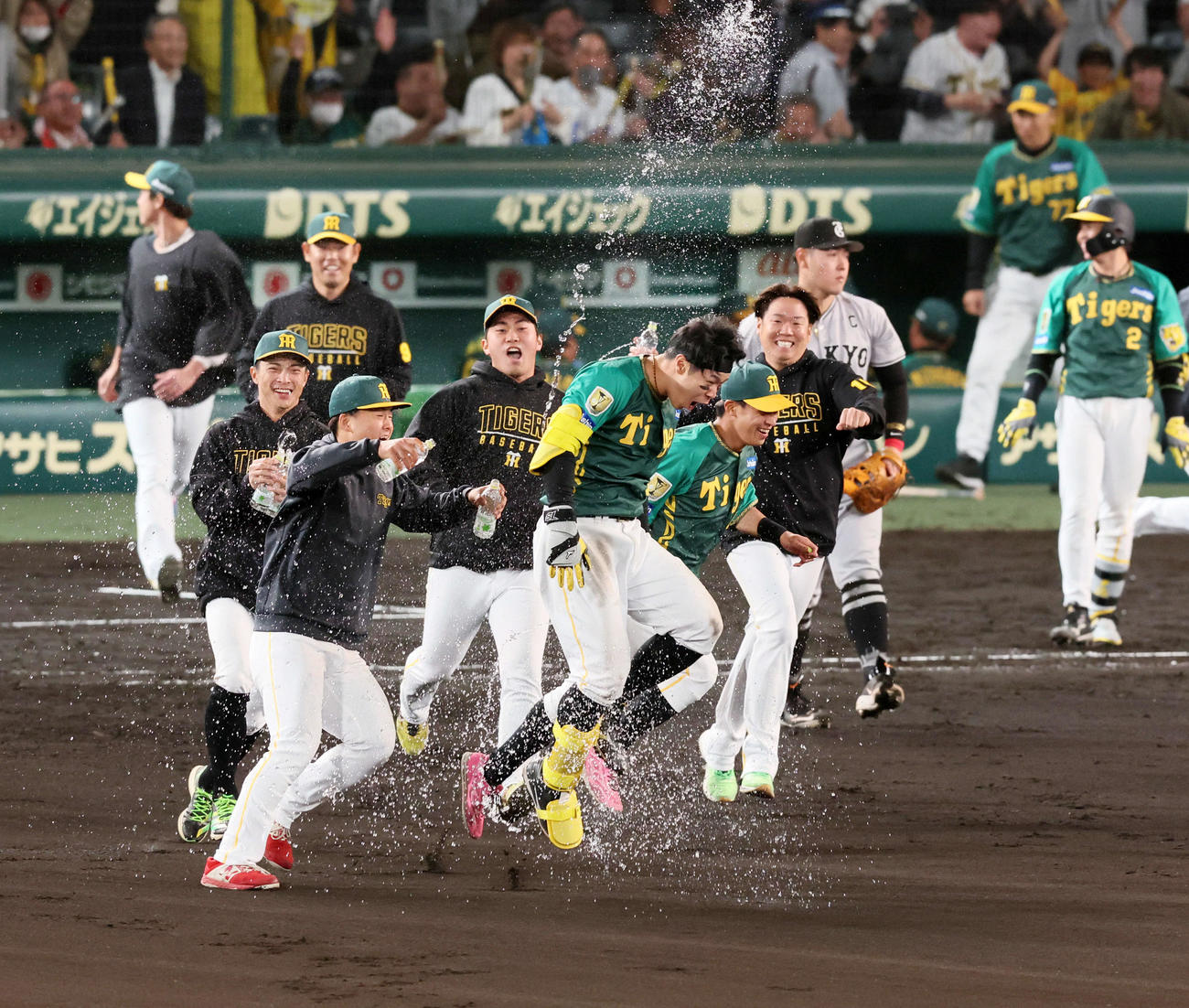 阪神対巨人　10回裏阪神無死満塁、サヨナラ右適時打を放った佐藤輝（中央）はチームメートに祝福のウオーターシャワーをかけられる（撮影・加藤哉）