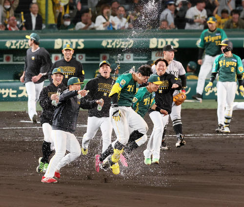 阪神対巨人　10回裏阪神無死満塁、サヨナラ右適時打を放った佐藤輝（中央）はチームメートに祝福のウオーターシャワーをかけられる（撮影・加藤哉）