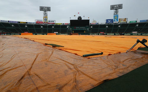阪神対広島　GW最終日、甲子園のグラウンドにはシートが敷き詰められていたが、夜間の降雨が予想され開門を前に中止が発表された（撮影・宮崎幸一）