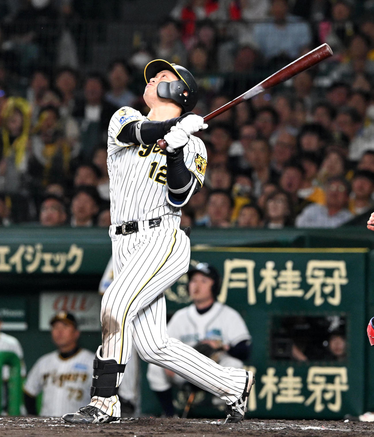 阪神対広島　7回裏阪神1死二、三塁、坂本は二飛に倒れる（撮影・前岡正明）