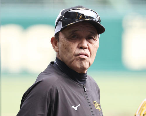 阪神岡田彰布監督（2024年5月8日撮影）