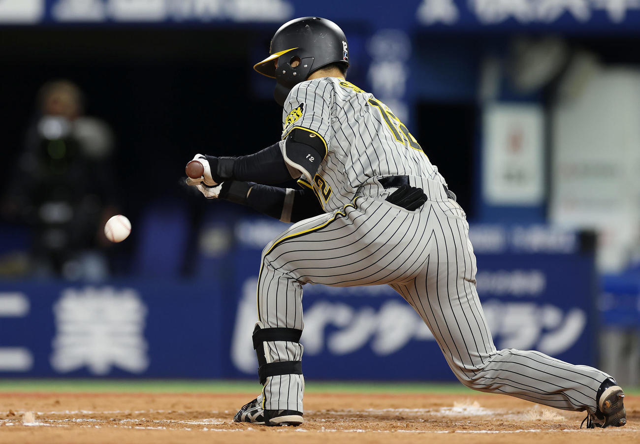 DeNA対阪神　9回表阪神無死二塁、犠打を決める坂本（撮影・前田充）