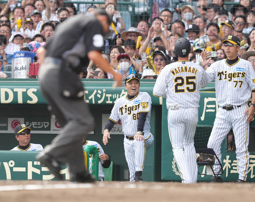 阪神対巨人　4回裏阪神無死、ソロ本塁打を放った渡辺（右から2人目）を迎える岡田彰布監督（中央）（撮影・菅敏）