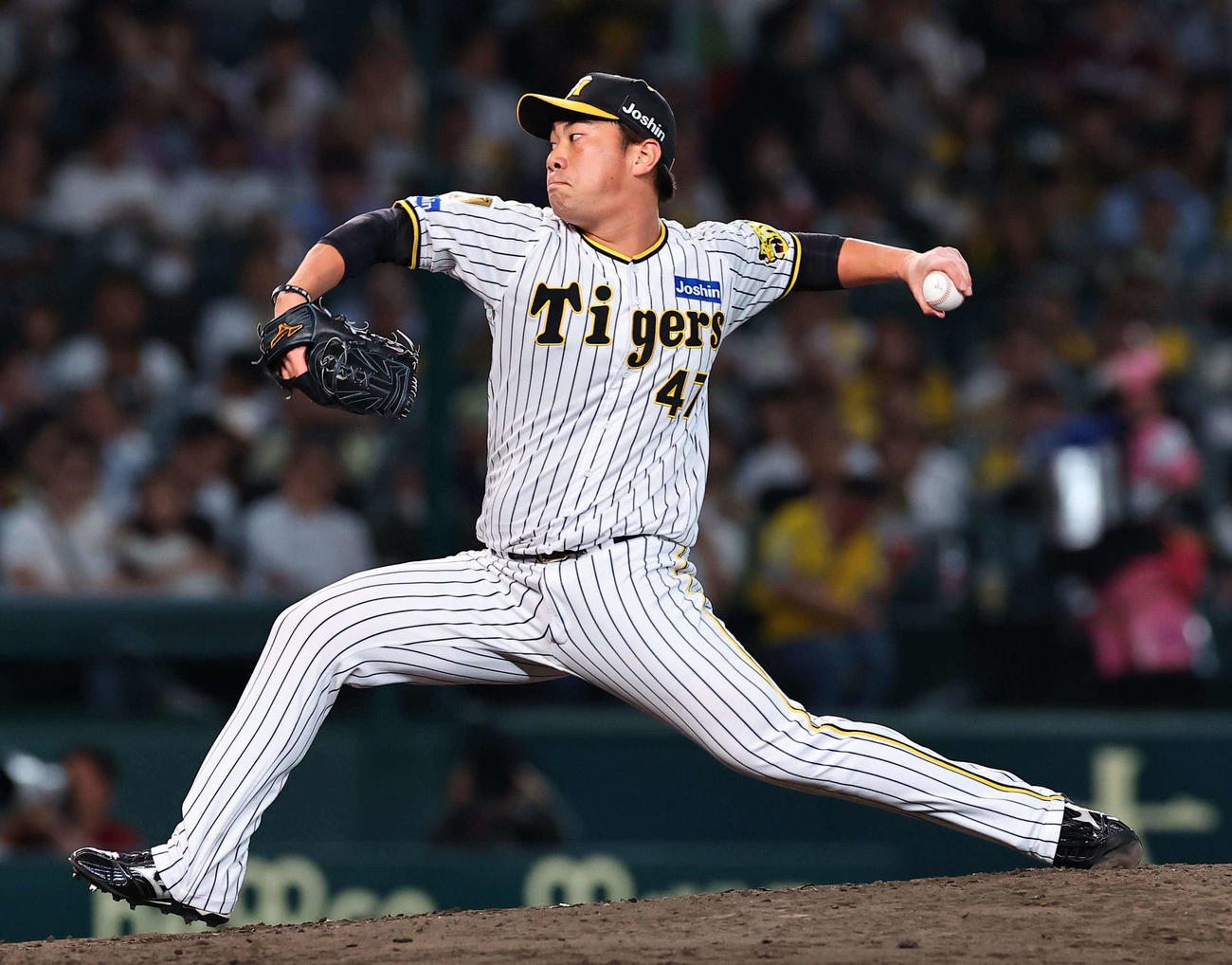 阪神対楽天　阪神5番手の桐敷（撮影・上田博志）