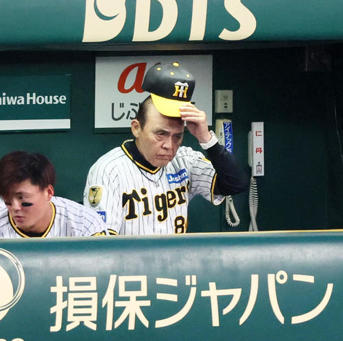阪神対楽天　5回表を終えベンチで帽子をかぶり直す岡田監督（撮影・加藤哉）