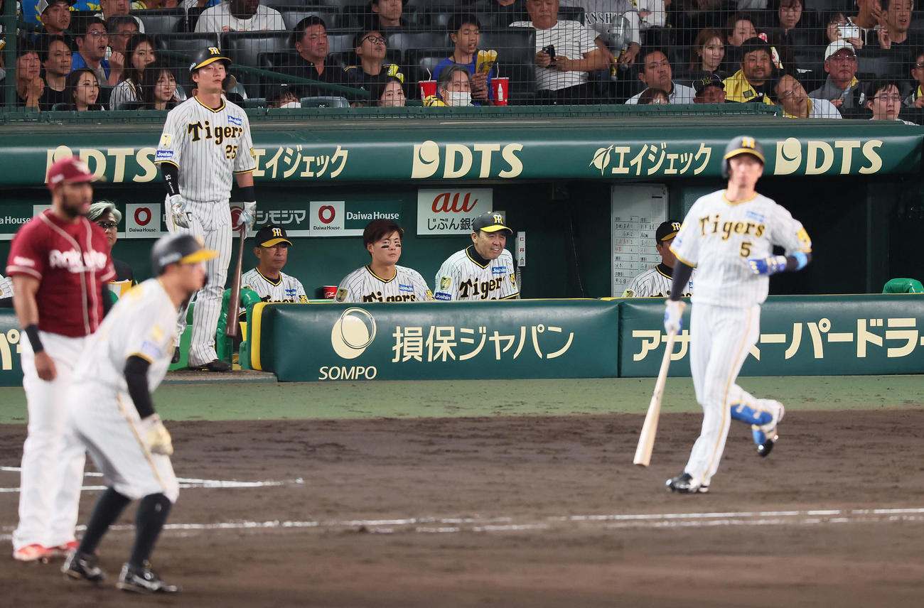 阪神対楽天　9回裏阪神1死一塁、近本の遊飛をベンチから見つめる岡田監督（撮影・加藤哉）