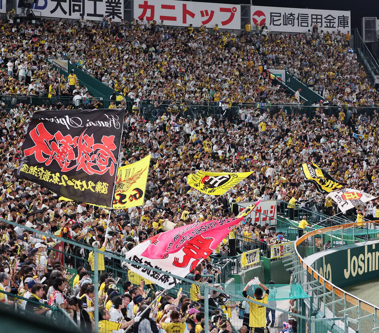 阪神対西武　声援を送る阪神ファン（撮影・加藤哉）