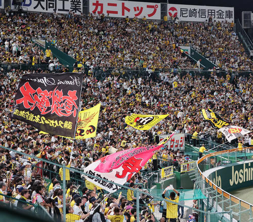 阪神対西武　声援を送る阪神ファン（撮影・加藤哉）
