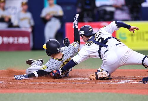 オリックス対阪神　4回表阪神1死二、三塁、原口は紅林の野選で生還する（撮影・上田博志）
