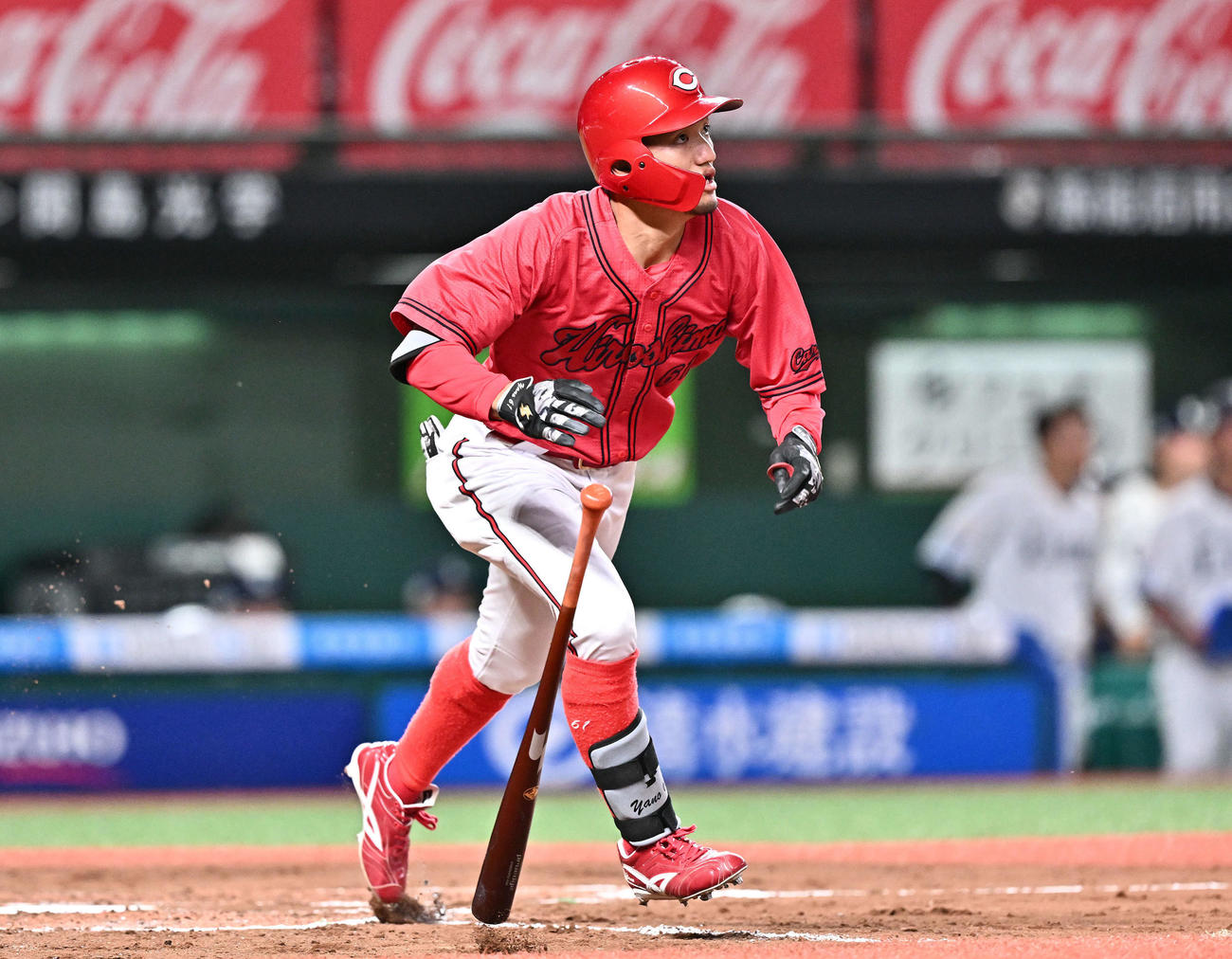 広島矢野雅哉