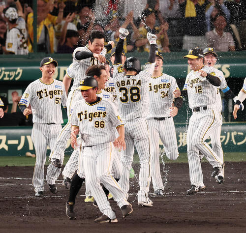 阪神対DeNA 9回裏阪神2死一、二塁、サヨナラ適時打を放った小幡（中央）を祝福する大山（左）ら阪神ナイン（撮影・加藤哉）