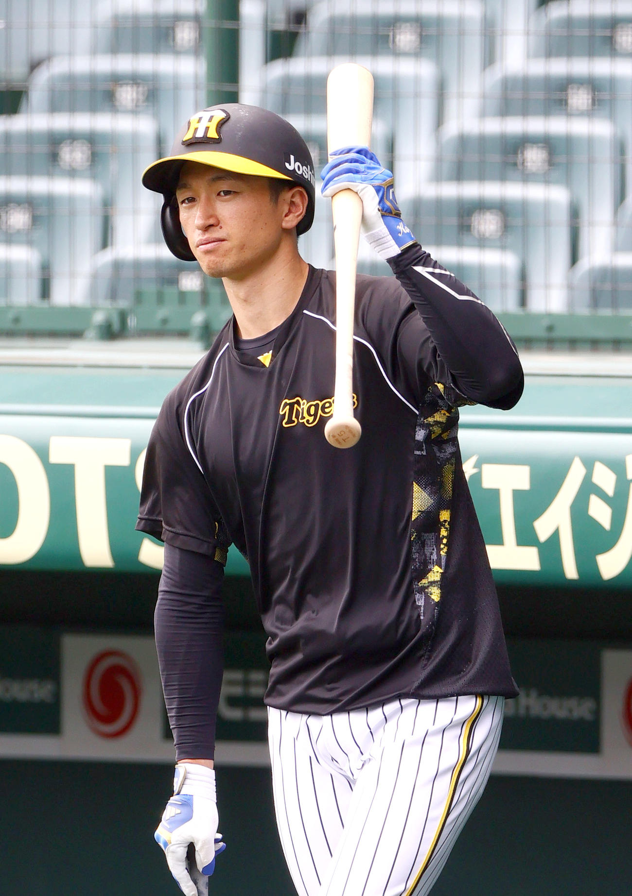 阪神近本光司（2024年6月26日撮影）