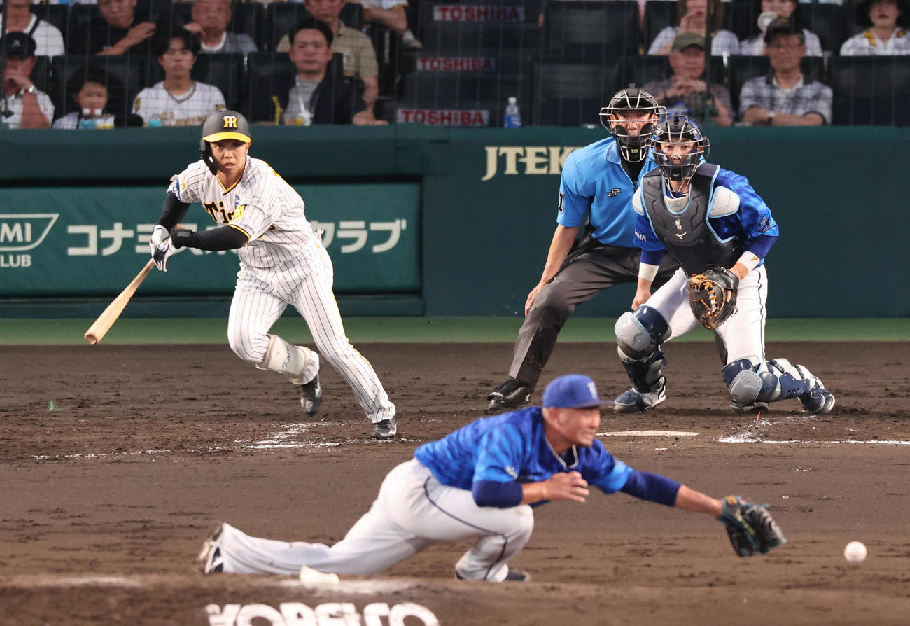 阪神対DeNA 5回裏阪神無死、島田は森唯のグラブをはじき出塁する（撮影・宮崎幸一）